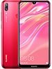Y7 2019