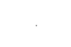 Official OnePlus 7, 7T Steel Slider Key Ball - 1071100231