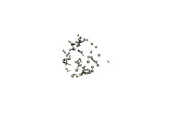 Official Apple iPhone 11 Whole Screw Set