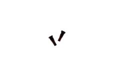 Official Apple iPhone 8, 8 Plus Gold Charging Screws (2 Pieces)
