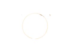 Genuine Samsung Gear S2 Classic SM-R735 Gasket Set Ball Bearings, Spring Set - GH82-11122A