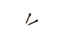 Official Apple iPhone X, XS, XS Max Gold Charging Screws (2 Pieces)